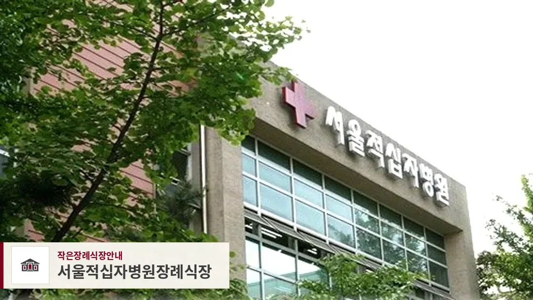 서울적십자병원장례식장, 사진 1
